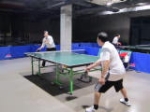 2011年兵乓球比賽